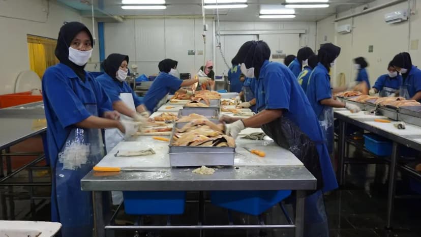 Nalayan: Mengubah Ekosistem Perikanan Indonesia